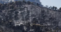 Τα δάση και οι φυσικές καταστροφές δεν είναι ευκαιριακά πεδία κερδοφορίας – arages.gr